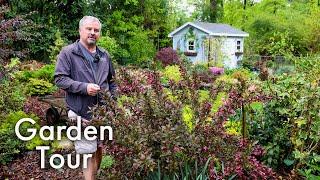 Garden Tour on a Cold Rainy Day