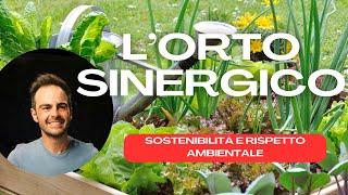 Orto Sinergico: Un'Alternativa Ecologica all'Orto Tradizionale