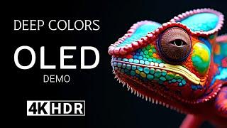 Deep Colors  OLED Demo HDR 4K Ultra HD Dolby Vision 60fps