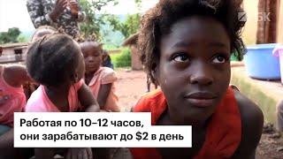 Рост производительности труда и оплата труда