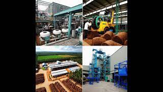  From Coconut Estate to Coco Peat Factory | Sustainable Coconut-Based Production in Sri Lanka 