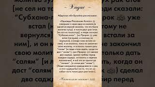 "Сунна, если забыл сесть после 2 рак‘атов"