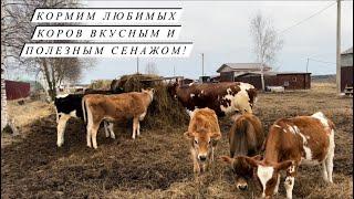 Наши фермерские будни! Занимаемся переработкой и реализацией продукции! Жизнь в деревне!