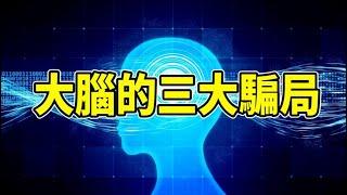 大腦的三大騙局：如果記憶是假的，感官是幻覺，自由意志不存在……那麼，我們的真實又是什麼？