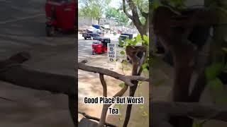 Trip To Lanka Day 5:We tried Worst Tea in the Good Place Mom Cafe #food #lanka #srilanka #foodshorts