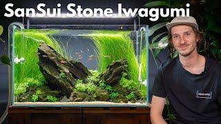 ADA 60P IWAGUMI Aquarium Vorstellung