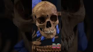 Archaeologists reconstruct face of 400-year-old “vampire” buried with iron sickle across her neck