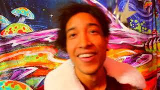 The Colourflies - "Bejeweled and Bespectacled" Blackhouse Records - A BlankTV World Premiere!
