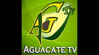 Transmisión en vivo de AGUACATE TV