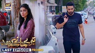 Teray Janay Kay Baad Last Episode | Promo | ARY Digital Drama