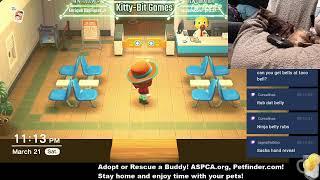 KittyBit Games! Live Stream