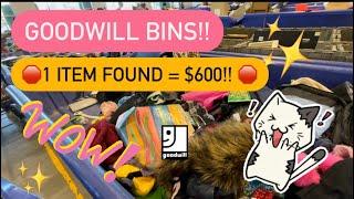 Come Thrift With Me At Goodwill Bins! I Found A Bag Worth $600! + Complete Digging HAUL!