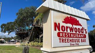 We Ate in a Treehouse | Norwood's Restaurant & Treehouse Bar in New Smyrna Beach