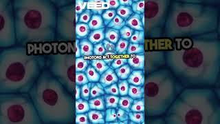 Unlocking the Invisible  Quantum Microscopy Magic!#knowledge#common sense#facts #science