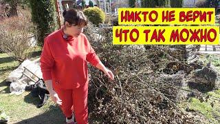 Как мы это выдерживаем? 17 лет безумия!