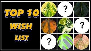 TOP 10 Plants I want Spring 2024