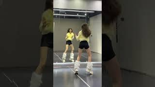 씨스타 SHAKE IT 커버댄스 K-POP SISTAR Cover Dance +네이쳐짤 NATURE ZZAL+