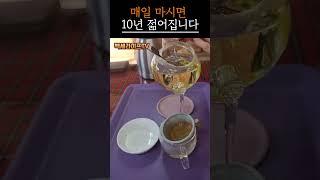 물을 이걸로 바꾸면 10년 젊어집니다｜#회춘차 #시니어건강