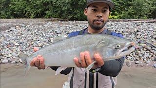 Drifting For Coho Salmon || King Salmon Fishing