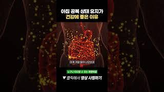 아침 공복 상태를 유지하는 게 건강에 좋은 이유