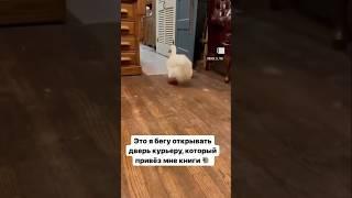 Книжный блогер Надя Тим - подпишись и читай вместе со мной 
