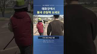태화강에서 물새 관찰해 보세요