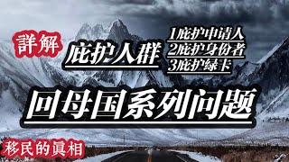 详解庇护身份回母国系列问题2023版（庇护申请人、庇护绿卡、庇护获批阶段回母国注意事项）#美国庇护绿卡#美国庇护期间旅行