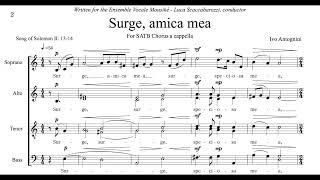 Ivo Antognini - Surge amica mea (score video)