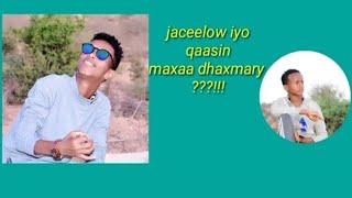 Falaq Falaq‚Cumar Kirish, Ck Kirish, King Ck Films & Vlogs, Maxey Fanka, Ku Jooga, Maxee Fanka Ku Jo