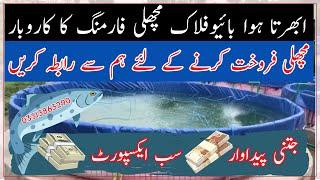 Fish market in Pakistan| Bioflock fish farming technology| Pakistan No 1 Bioflock installer