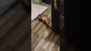he wanted to redecor the bathroom