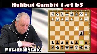 HALIBUT Gambit (1. c4 b5), Unceasing Attack On Both Sides of the Board.{Offbeat Gambit}.