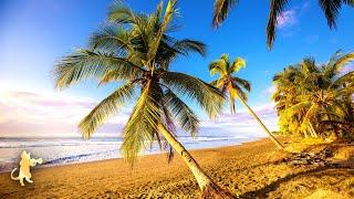 Breathtaking Beaches  Most Beautiful Beaches in The World & Relaxing Music