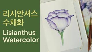 Botanical Art Basics_Lisianthus