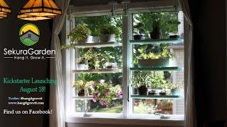 Convert your windows into organic gardens today with SekuraGarden!