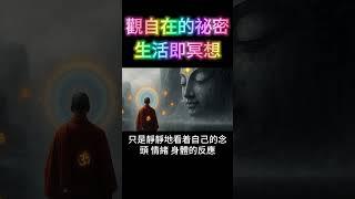觀自在的祕密：生活即是冥想！ #開悟 #覺醒