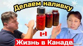 Делаем хреновуху и наливку // Домашнее вино//  Жизнь в Канаде  life in Canada