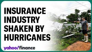 How Hurricane Milton could change the insurance market