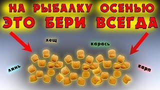 Насадка для рыбалки на КАРПА, КАРАСЯ, ЛЕЩА. Для успешной рыбалки осенью.