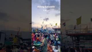 Alibag koliwada#alibag  #fishingvideo #fishinglife #agrikoli #agrikolisong #fishmarket #trend