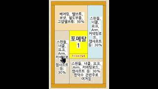 포메탈1