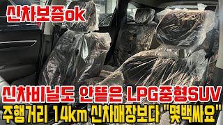 중고차 매장에서 신차를 사면 얼마나 쌀까!? LPG 중형 SUV