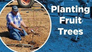 How Do I Plant Fruit Trees? - DIY Series - Planting New Peach, Apple and Pecan Trees and Pruning