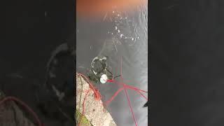 Magnet fishing first trip out Scottish canal