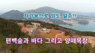 임도를 자가용으로 일주하면서 편백숲과 양떼목장에서 힐링할수 있는곳//남해바다!!