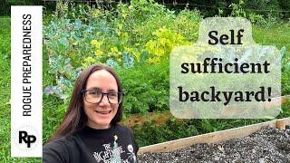 Easy Steps to Create a SELF SUFFICIENT Backyard