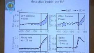 Neural Synchrony and Selective Attention