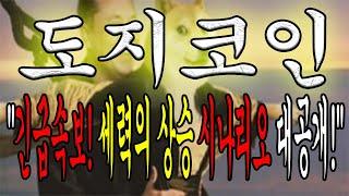 [도지코인 전망] "긴급속보! 세력의 시나리오를 모르면 또 당합니다! 주목하세요!"