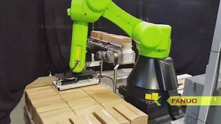 Collaborative Dual Palletizing Cell with FANUC CR-35iA Collaborative Robot - ESS Technologies