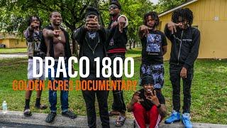 DRACO 1800 | GOLDEN ACRES PROJECTS | MUSIC JOURNEY | STREET LIFE | FAMILY | JIT4STAN | EL SNAPPO